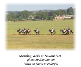 Morning Work at Newmarket