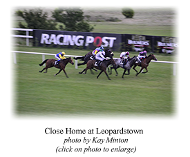 Close Home at Leopardstown