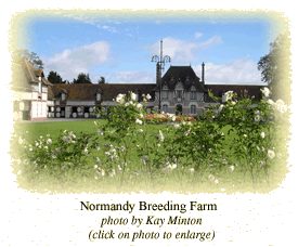 Normandy Breeding Farm
