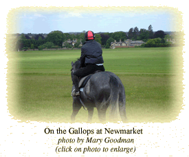 On the Gallops at Newmarket