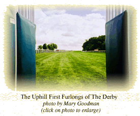 The first uphill furlongs of The Derby.